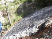 desky z kamenolomu se stopami dinosaurů