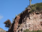 Vzhůru serpentinami Cuesta del Obispo a objevují se první kaktusy - cardones ...