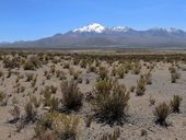 Zasněžené hřebeny And oddělující Chile a Bolívii - zcela nalevo sopka Isluga (5550m), uprostřed Cerro Cabaraya - Cibaray (5869m), Chile