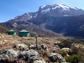 Kilimandžáro - Arrow Glacier Camp, Tanzanie