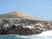 Islas Ballestas, Pisco a Nasca, Peru