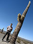 Obří kaktusy v Národním parku Los Cardones, Argentina