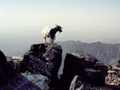 Jebel Toubkal (4167m), Vysoký Atlas, Maroko