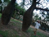 Vláďa se stromem palo borracho, typickým pro Chaco, Córdoba, Argentina