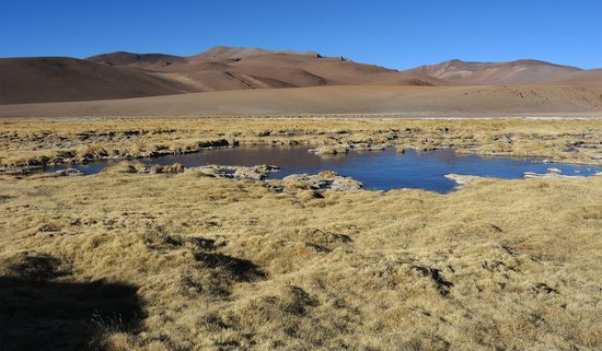 Quebrada Quepiaco u silnice č. 27, přírodní rezervace Los Flamencos, Chile