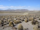 Chilské Altiplano ...