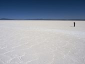 Martin na obří solné pláni, Salinas Grandes, Argentina