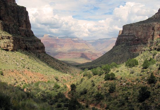 Grand Canyon, Arizona, USA