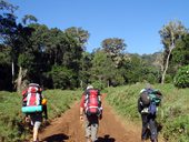 První den na cestě Chogoria Route - z mestečka Chogoria k bráně NP Mount Kenya, Mt. Kenya, Keňa