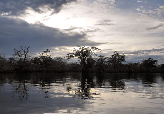 Soumrak nad amazonským pralesem, Cuyabeno, Ekvádor