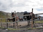 Výstup na sopku Pichincha z konečné stanice lanovky Cruz Loma, Quito, Ekvádor