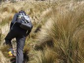 Malebné městečko Otavalo a výstup na sopku Fuya Fuya, Otavalo, Ekvádor