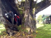 První den na cestě Chogoria Route - z mestečka Chogoria k bráně NP Mount Kenya, Mt. Kenya, Keňa