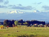 Taupo - Huka Falls