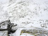 Marta v oblasti Žabích ples, Vysoké Tatry, Slovensko