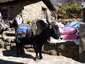 Everest Base Camp Trek, Himálaj, Nepál