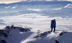 Solisková hřebenovka, Vysoké Tatry, Slovensko