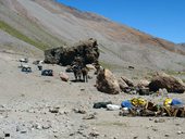 Přístup pod Aconcagua údolími Vacas a Relinchos, Argentina