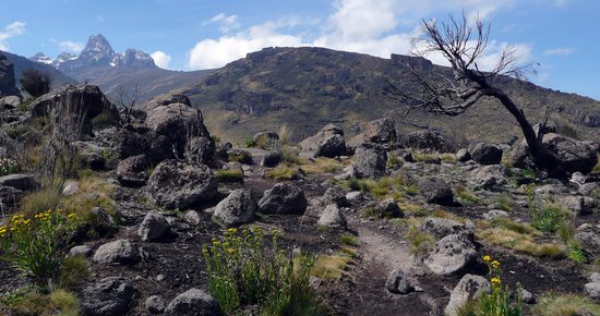 Pohled na hlavní vrcholy masivu Mt. Kenya - Nelion (5188m) a Batian (5199m) - z cesty Sirimon. Vrchol zcela vlevo je Point Lenana (4985m).