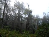 Výstup na Gunung Semeru (3676m), Indonésie