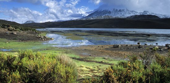 Jezero Chungará (4517m) v pozadí se sopkou Parinacota (6348m), Národní park Lauca, Chile