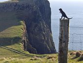 Neist Point