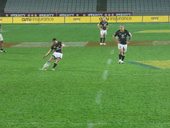 rugby vs wellington