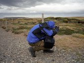 Punta Arenas a okolí, Patagonie, Chile