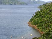 queen charlotte sound vyhledy