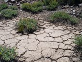 Přístup pod Aconcagua údolími Vacas a Relinchos, Argentina