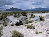 Národní park Lauca, Chile