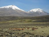 Acotango (6052m) a Capurata (5990m) - dvě z trojice sopek souhrnně pojmenovaných Nevados de Quimsachata, Chile