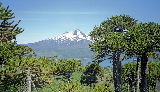 Národní park Conguillío, Chile