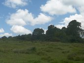 První den na cestě Chogoria Route - z mestečka Chogoria k bráně NP Mount Kenya, Mt. Kenya, Keňa