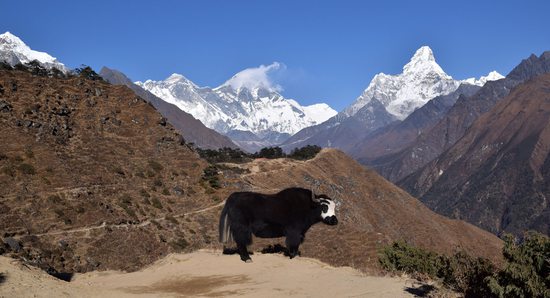 Everest, Lhoce, Ama Dablam