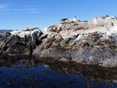 Ohňová země - Tierra del Fuego, Ushuaia, Argentina