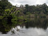 Lagunas Cuyabeno, Ekvádor