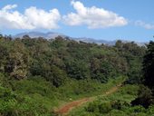 První den na cestě Chogoria Route - z mestečka Chogoria k bráně NP Mount Kenya, Mt. Kenya, Keňa