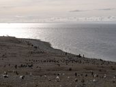 Ohňová země - Tierra del Fuego, Ushuaia, Argentina