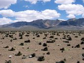 Národní park Lauca, Chile