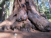 Yosemite, El Capitan, USA