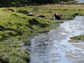 Vysokohorské jezero San Pablo a jeho okolí ve stínu mohutné sopky Imbabura (4630m), Ekvádor