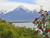 Mt Cook