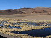 Quebrada Quepiaco, přírodní rezervace Los Flamencos, Chile