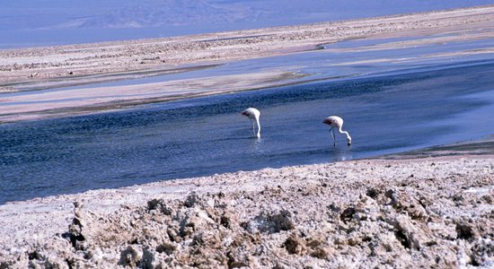 San Pedro de Atacama