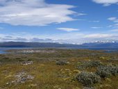 Ohňová země - Tierra del Fuego, Ushuaia, Argentina