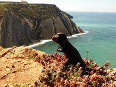 Cabo Espichel a útes posetý stopami dinosaurů