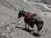 Sestup do základního tábora Ačik-Taš pod Pikem Lenina (7134m), Pamír, Kyrgyzstán