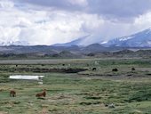 Národní park Lauca, Chile