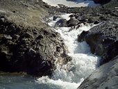 Na stezce kolem pohoří Sierra Nevada, národní park Conguillío